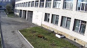 Школа №20 (вул.Братів Бойчуків, 4) - другий вхід