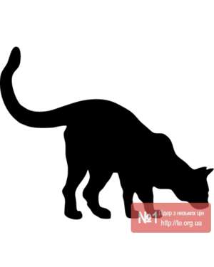 Наклейка Котик для стін, меблів, зображення 1