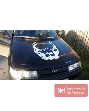 Наклейка для авто Пітбуль Pitbull - 596, зображення 9