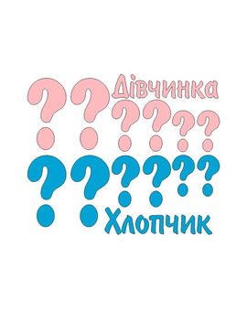 Хлопчик? Дівчинка? запитання наклейки для кульки, коробки 845