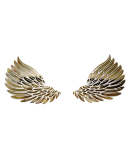 Крила ангела на хрещення для фотозони, банера - Time Decor 871, зображення