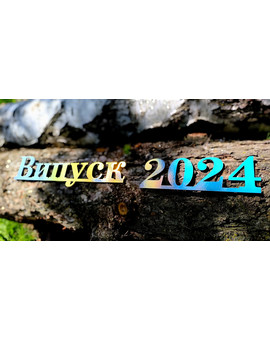 Випуск, Випускний 2025 напис для фотозони, зображення 7